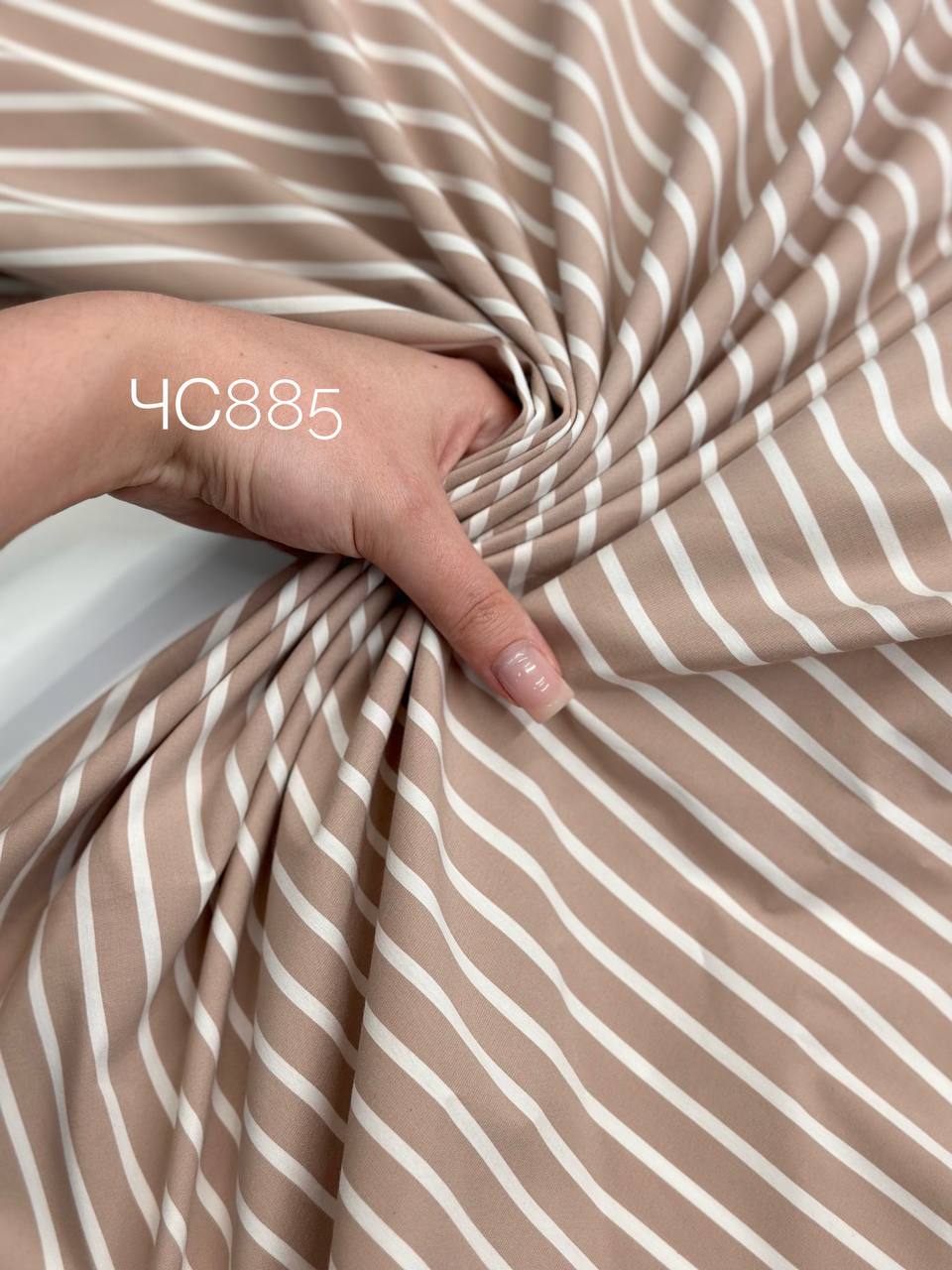 айвори 4d02b1f3-4bbb-4e1e-a571-655c4aa28d3e