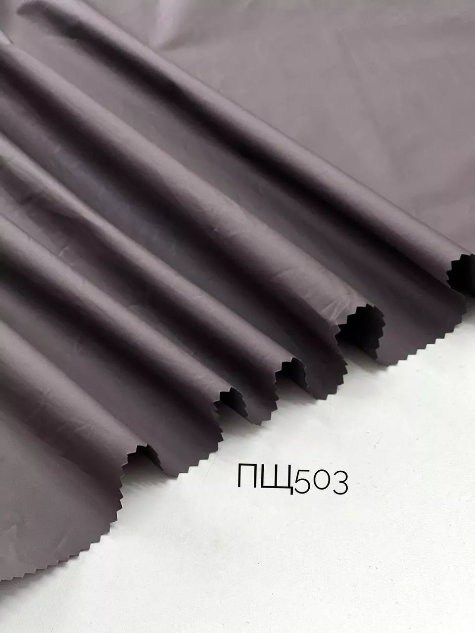 кэмл 4f6b1163-34a0-421a-b23d-de9c2440fb5c