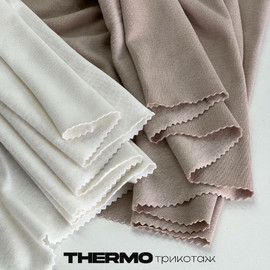 THERMO 1e0ff034-e3e9-4359-b566-9fee6dd20b5b