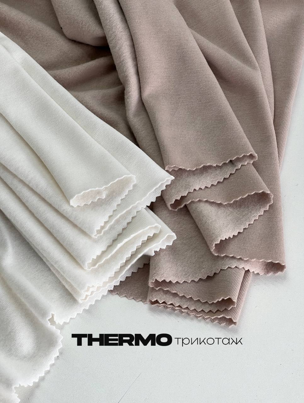 THERMO 1e0ff034-e3e9-4359-b566-9fee6dd20b5b