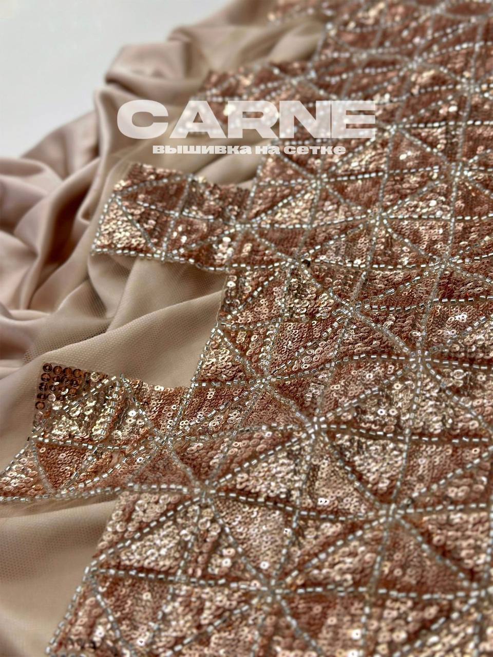 CARNE 07e05df4-30ad-42dc-9f3b-c6eeaa3d0e7d