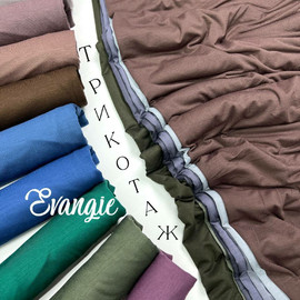 индиго photo_2025-12-24_12-20-35