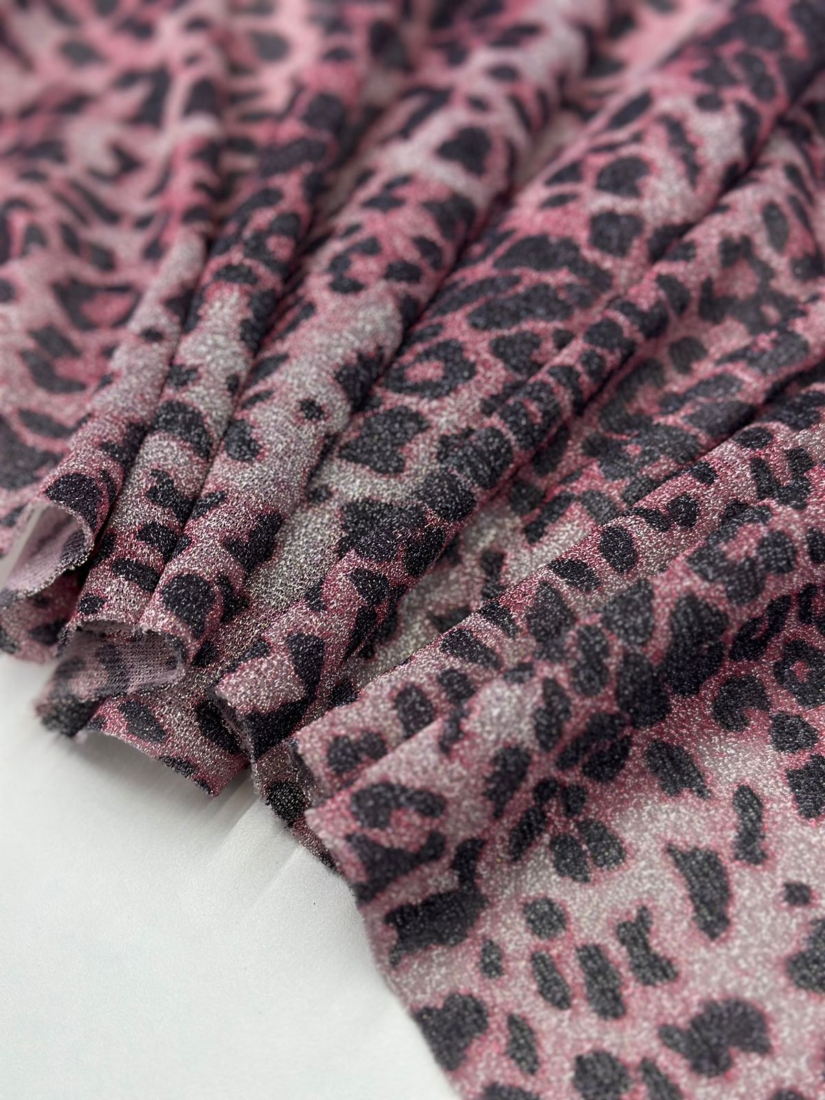 Леопард whatsapp image 2025-11-18 at 10.17.58