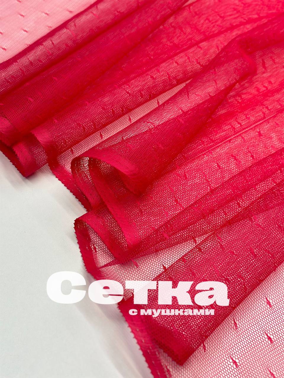 ванильно-жёлтый photo_2025-11-24_11-38-54