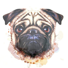 Мультиколор 821