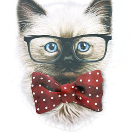 Мультиколор 791