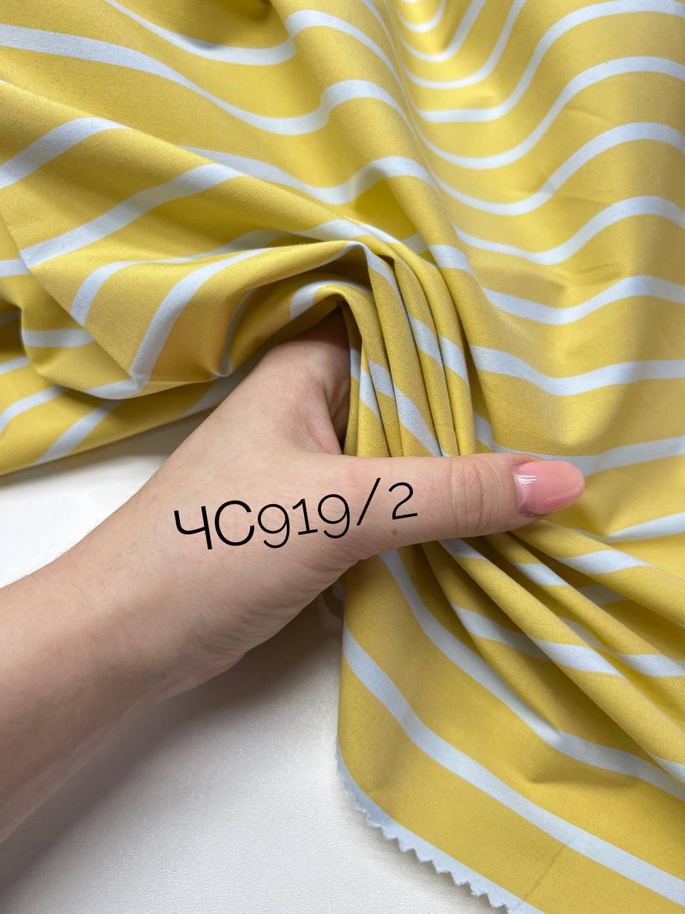 синие на бледно голубом photo_2025-12-05_14-30-48