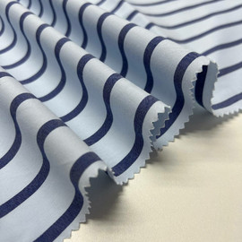 синие на бледно голубом photo_2025-12-05_14-30-51