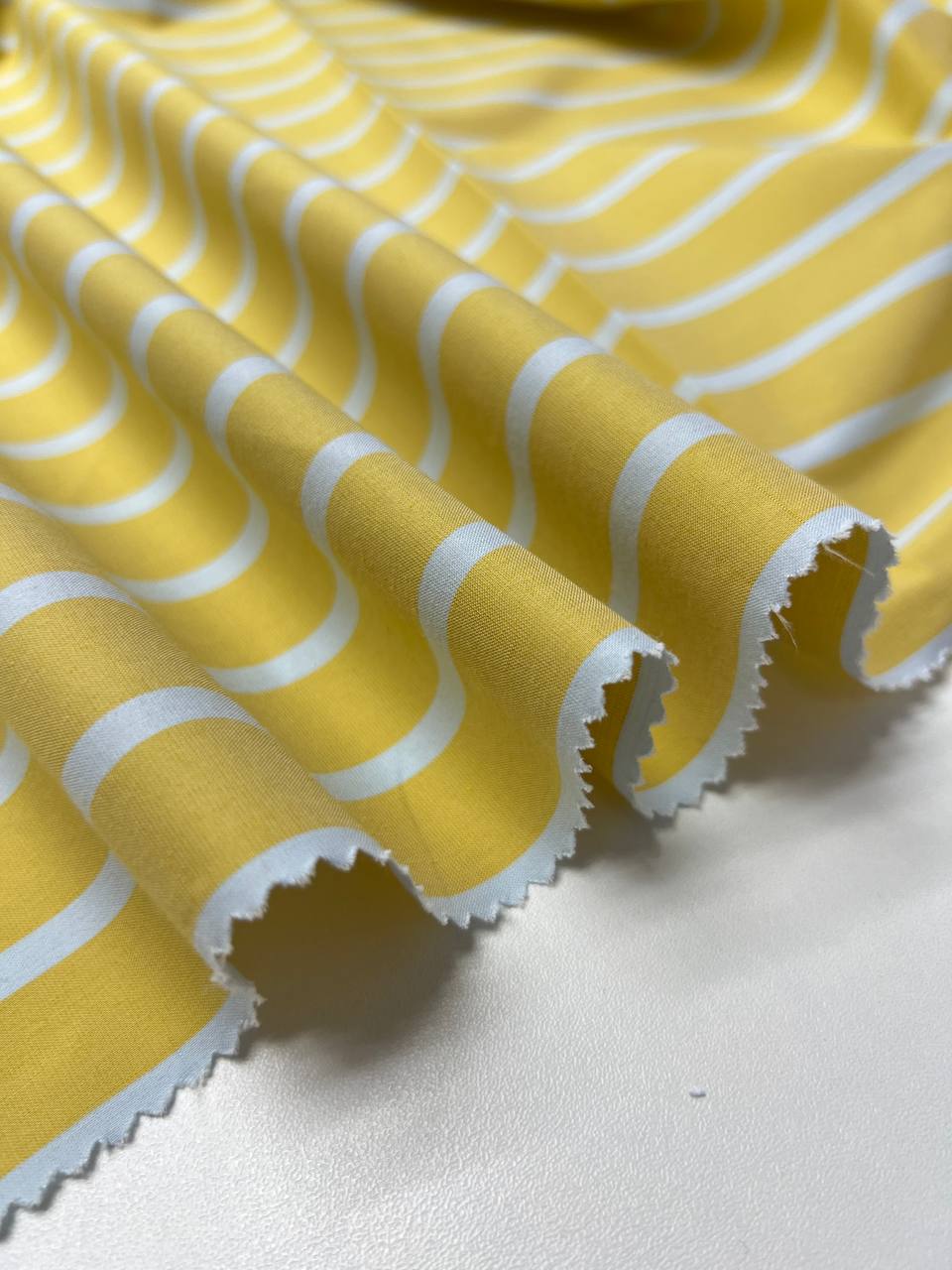 синие на бледно голубом photo_2025-12-05_14-30-52