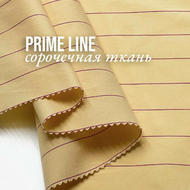 бордовые полоски photo_2025-12-05_15-54-11