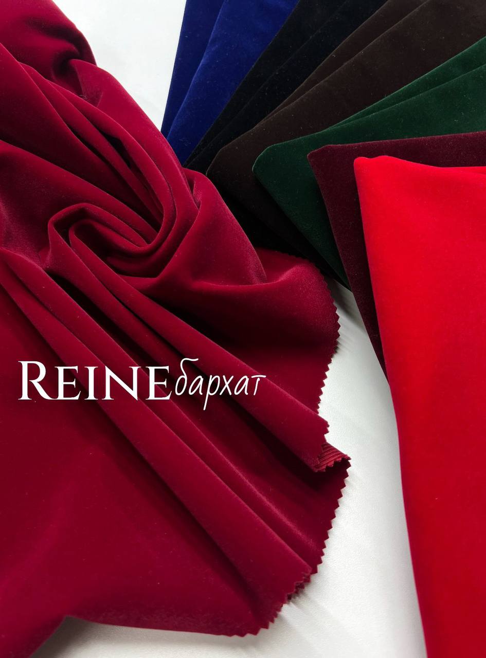 REIINE photo_2025-12-14_12-16-52