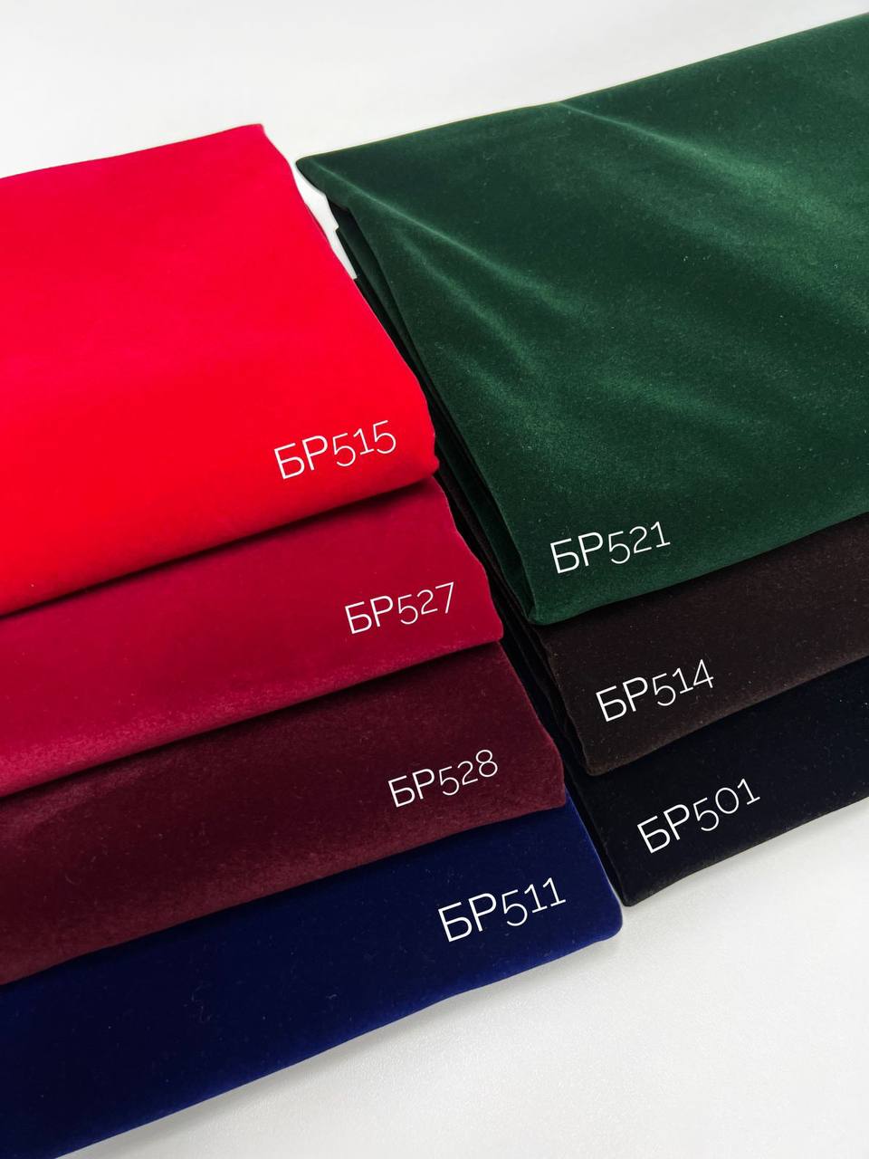 REIINE photo_2025-12-14_12-16-54