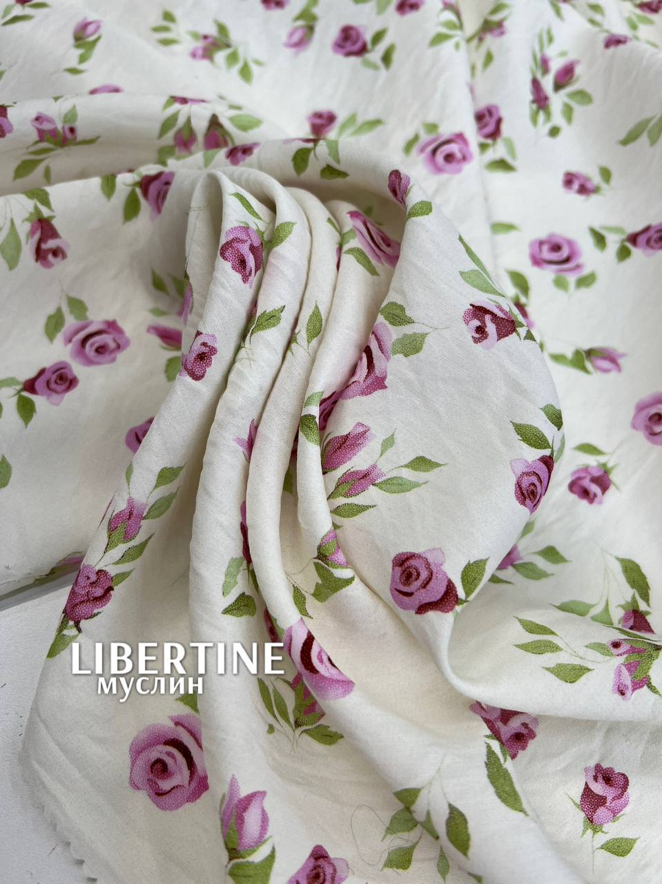 Розы photo_2026-01-20_18-24-36