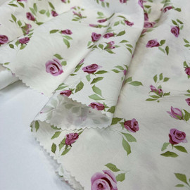 Розы photo_2026-01-20_18-24-39