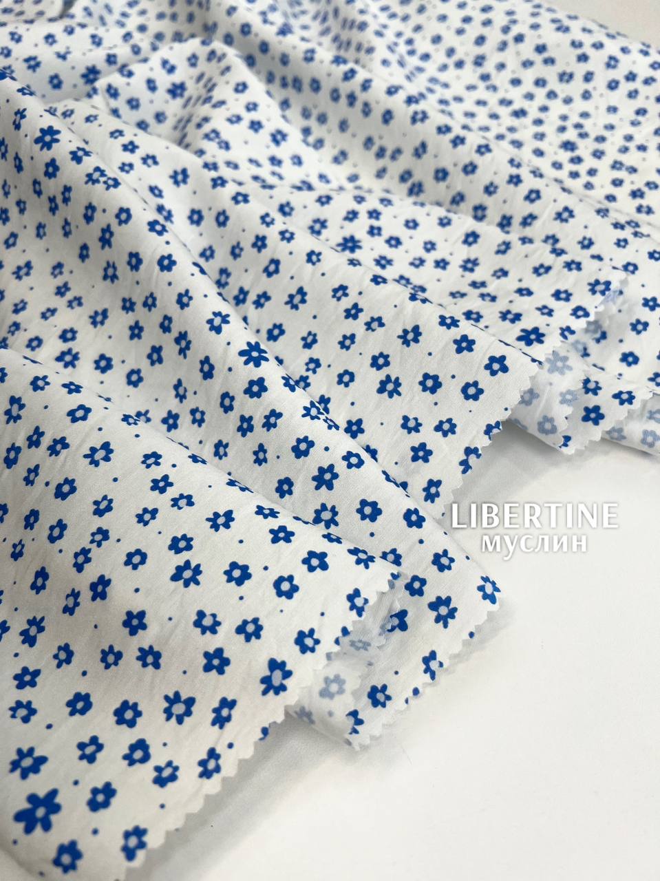 Синие цветочки photo_2026-01-21_11-59-47