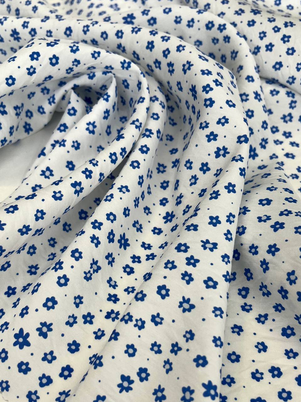 Синие цветочки photo_2026-01-21_11-59-50