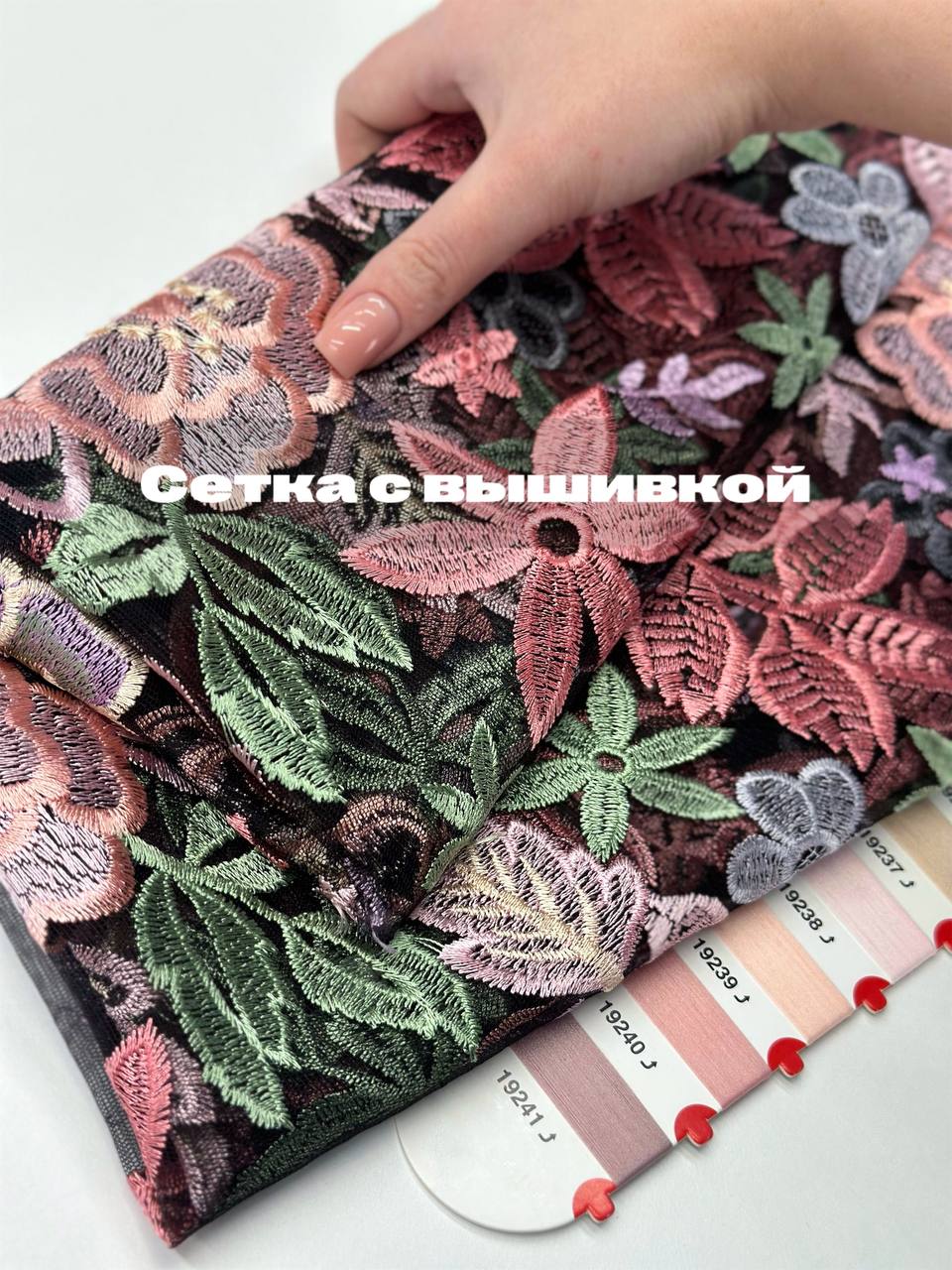 Цветы photo_2026-01-20_17-13-10