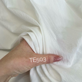 VELLUM photo_2026-01-23_16-23-57