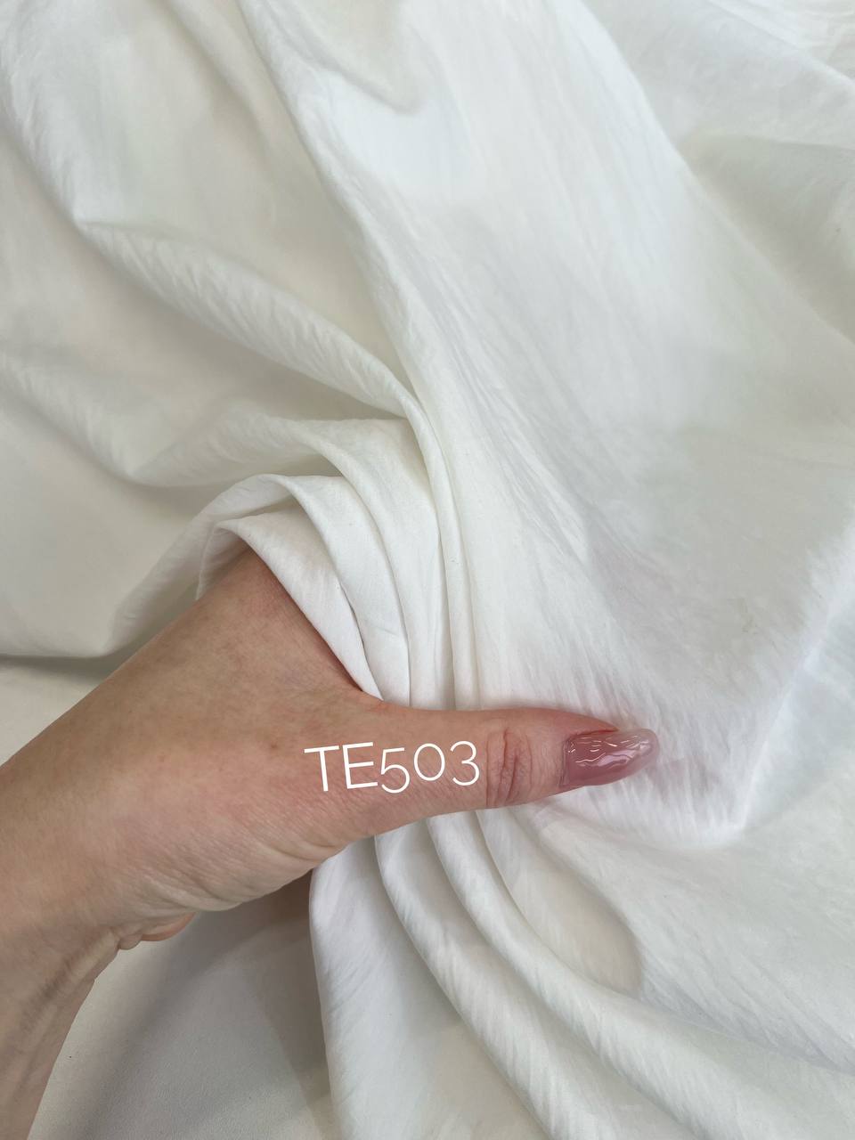 VELLUM photo_2026-01-23_16-23-57