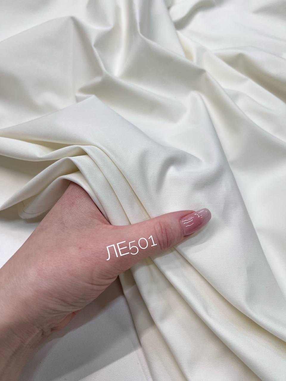 STONE photo_2026-01-24_11-23-11