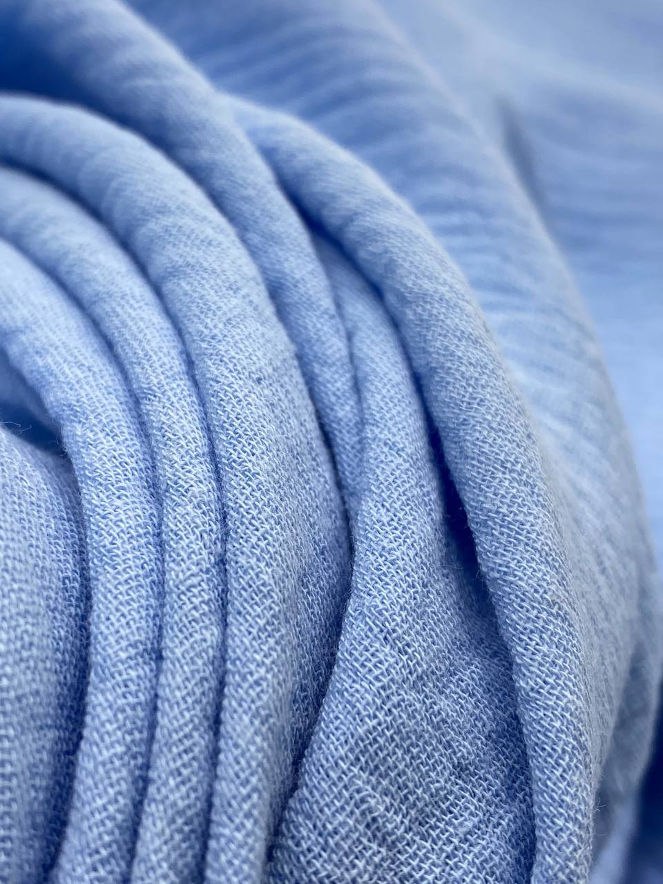 Голубые цветы photo_2024-02-26_17-43-44