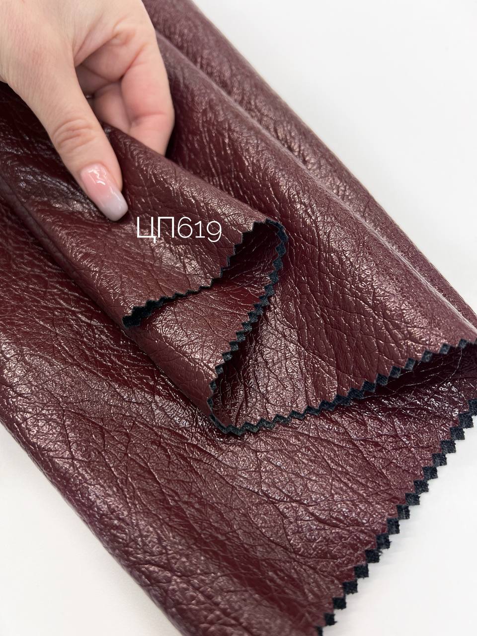 CARAMEL photo_2026-01-26_14-00-03 (2)