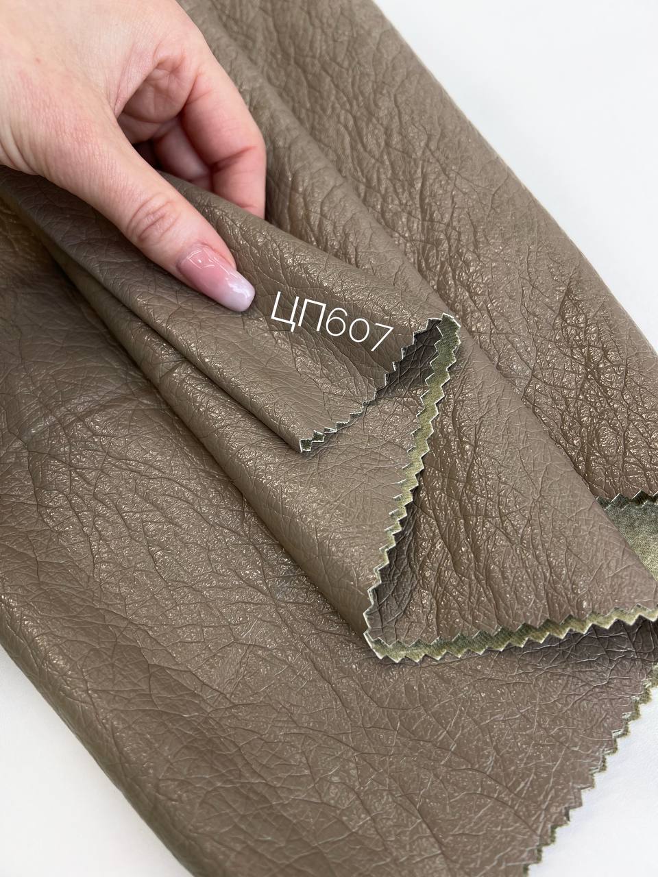 CARAMEL photo_2026-01-26_14-00-04