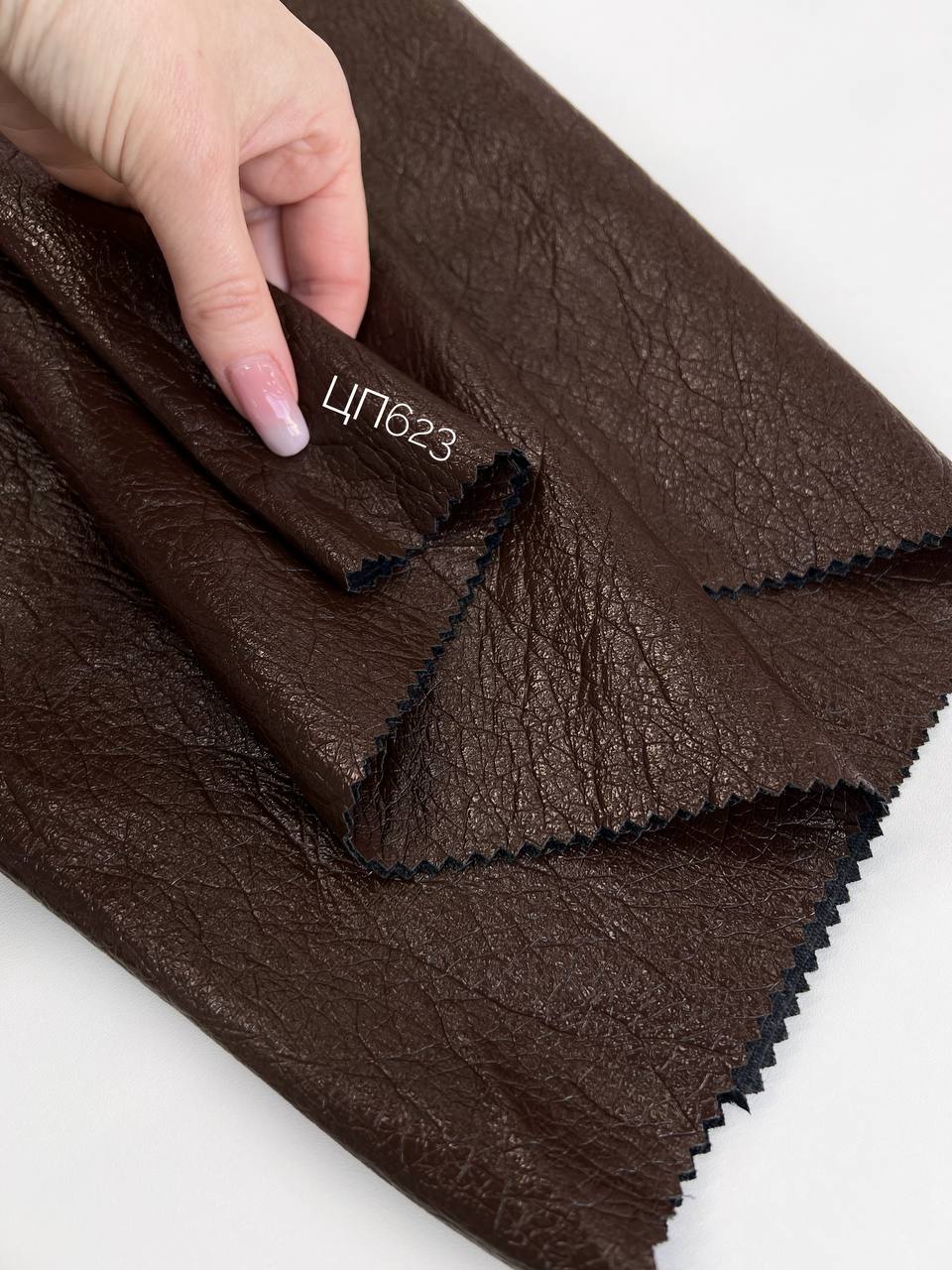 CARAMEL photo_2026-01-26_14-00-05