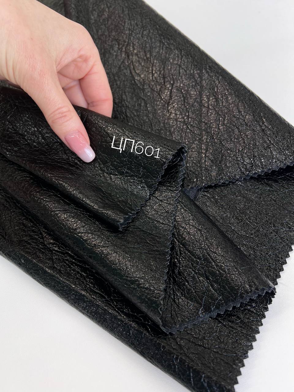 CARAMEL photo_2026-01-26_14-00-06