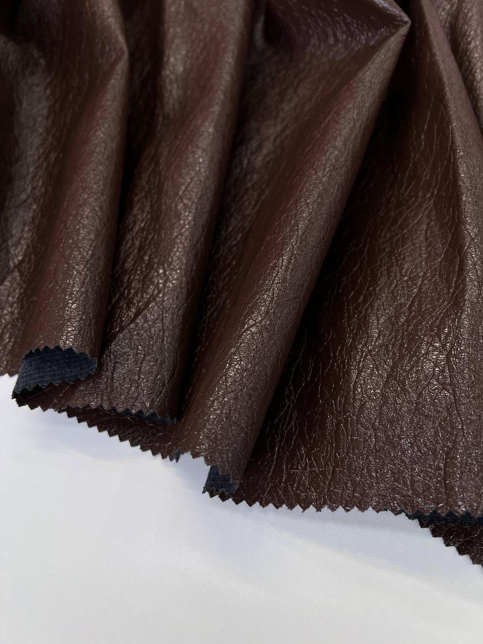 CARAMEL photo_2026-01-26_14-00-09