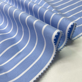 Полоска photo_2025-12-11_09-45-02