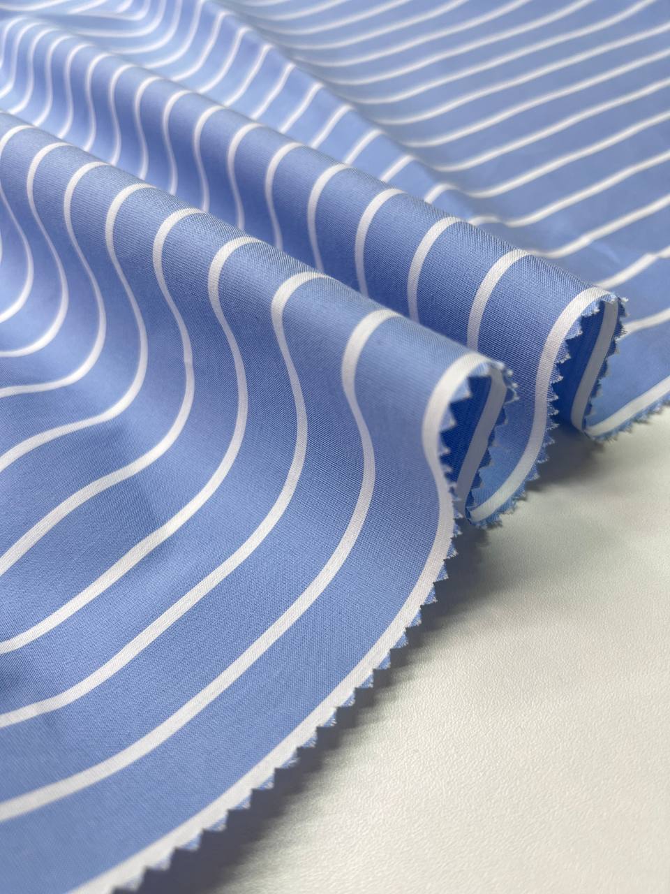 Полоска photo_2025-12-11_09-45-02