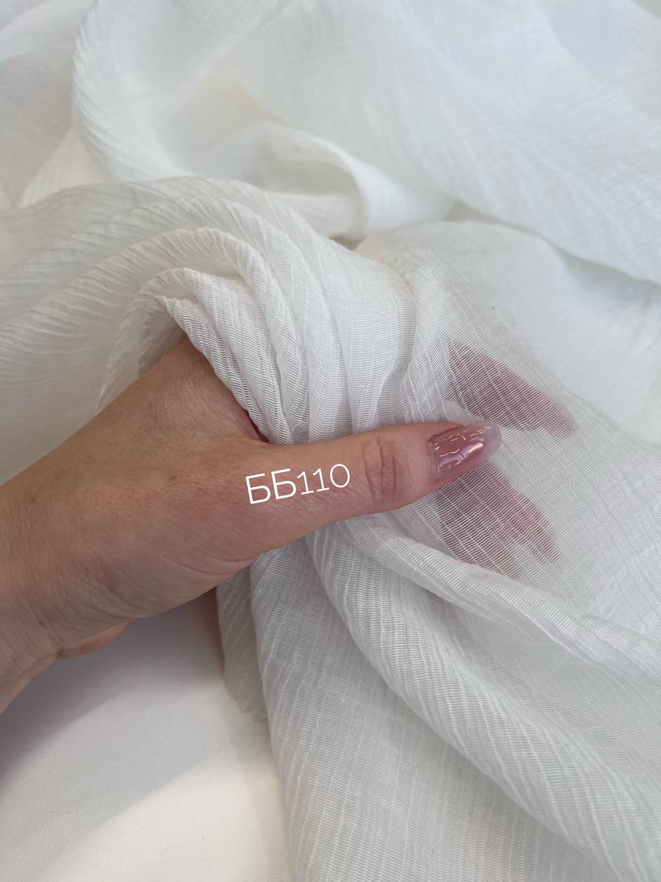 REVERSO photo_2026-01-28_10-31-54 (2)