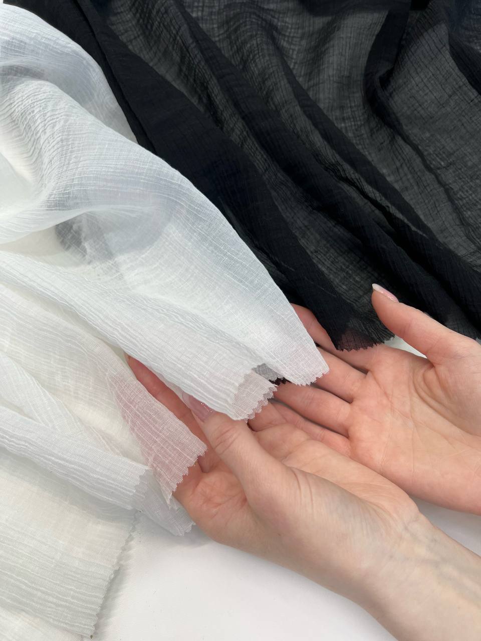 REVERSO photo_2026-01-28_10-31-56 (2)