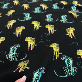 Кошки photo_2026-02-03_17-33-54