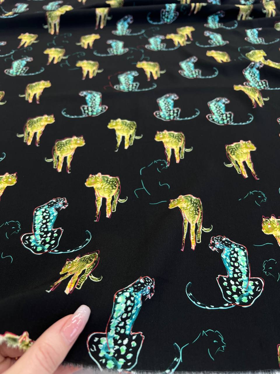 Кошки photo_2026-02-03_17-33-54