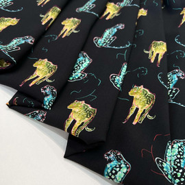 Кошки photo_2026-02-03_17-33-58