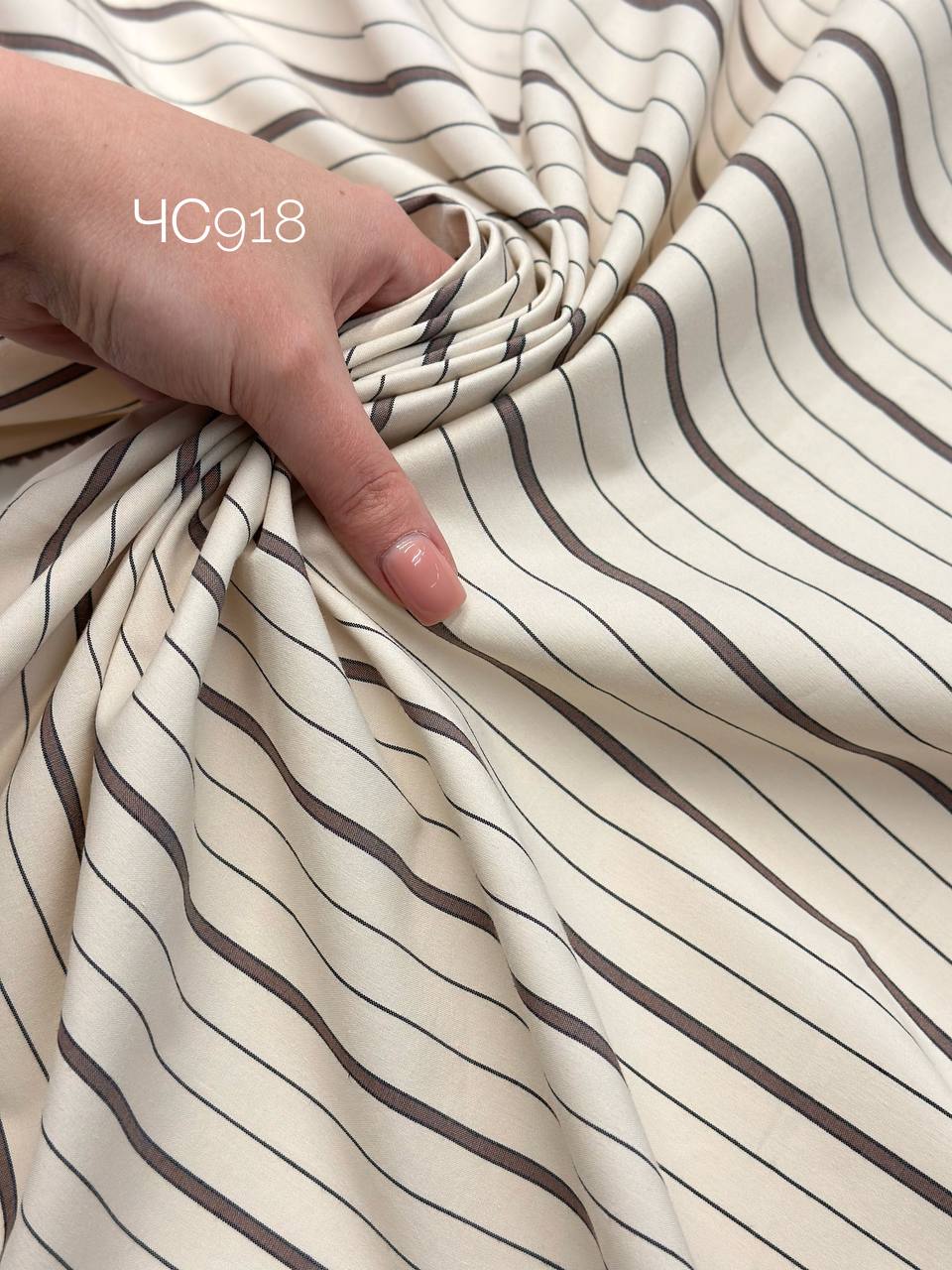 шоколадная полоска photo_2026-01-30_15-53-56