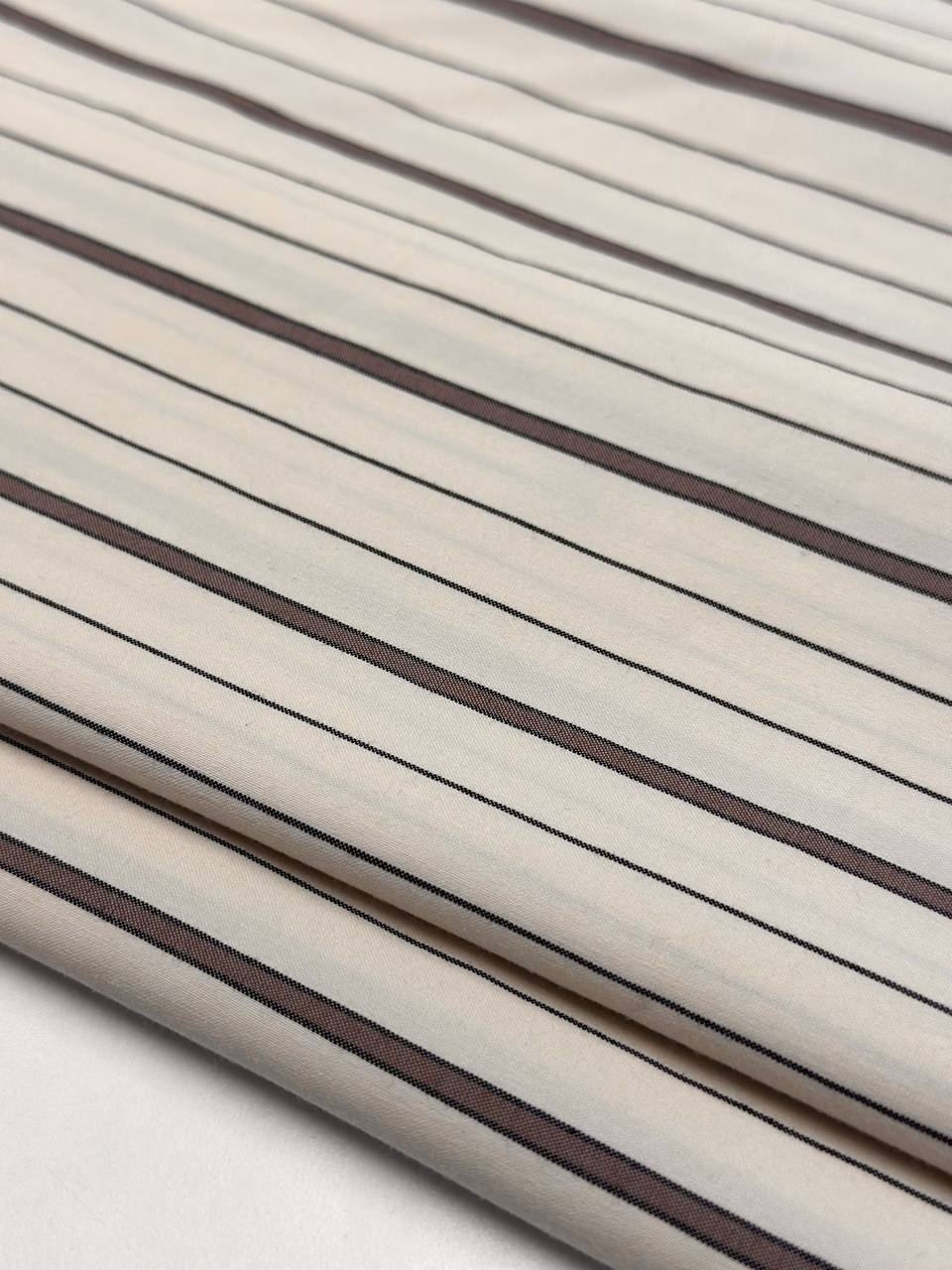 шоколадная полоска photo_2026-02-05_10-53-05