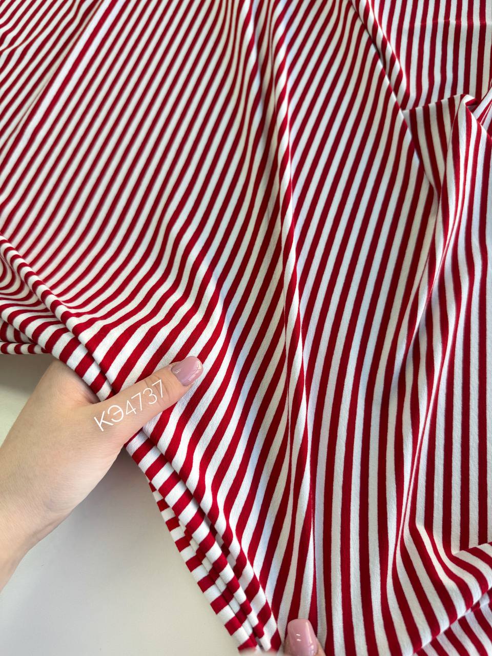 Полоски photo_2026-02-05_16-00-32