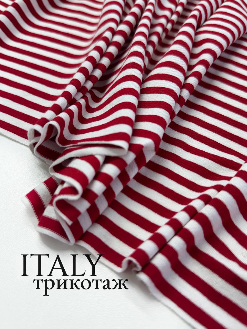 Полоски photo_2026-02-12_17-01-52