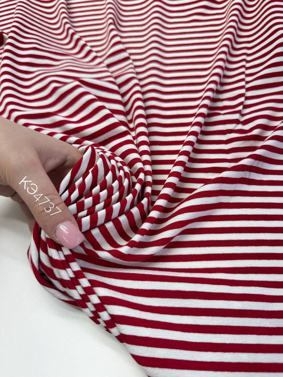 Полоски photo_2026-02-12_17-01-55