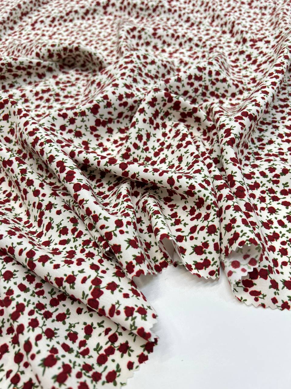 Мелкие красные бутоны photo_2026-02-10_12-15-20