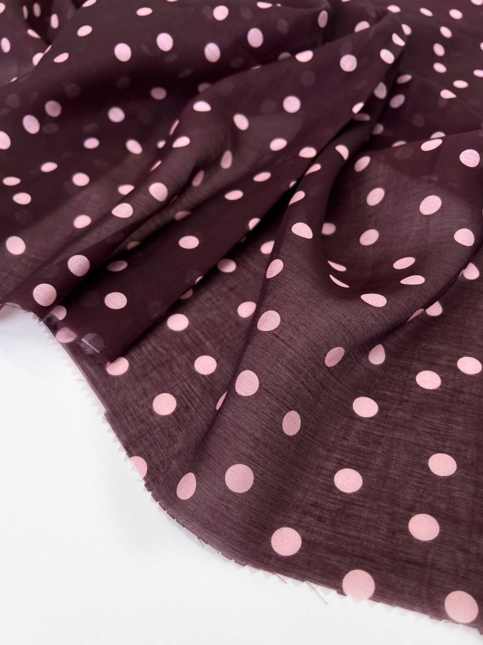 Горошек photo_2026-02-11_16-36-22