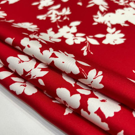 Белые цветы photo_2026-02-12_13-19-29