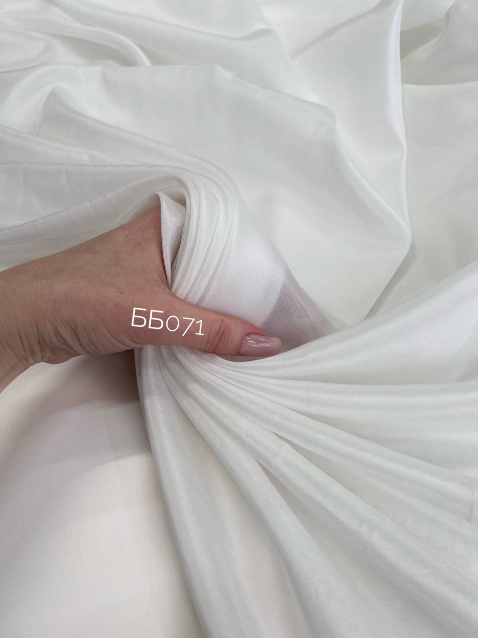 REFINED photo_2026-02-20_10-35-13