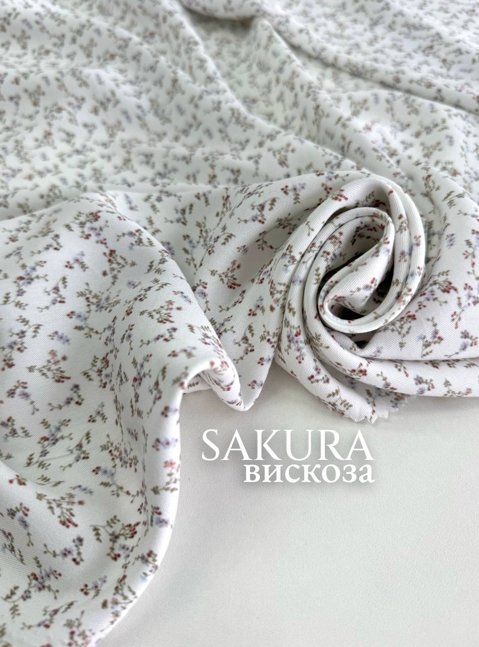 Мелкий вьюнок photo_2026-02-20_14-50-08