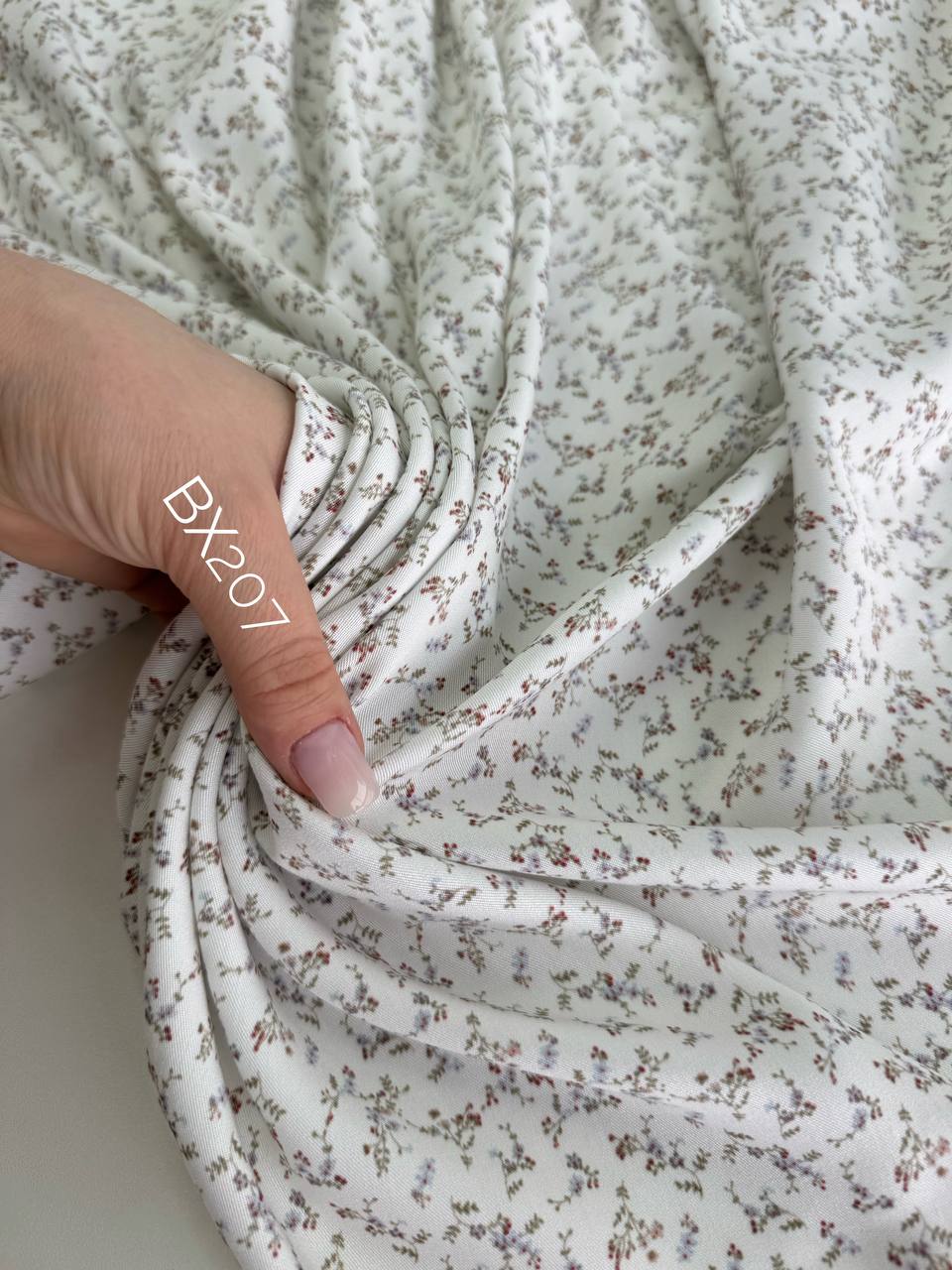 Мелкий вьюнок photo_2026-02-20_14-50-09 (2)