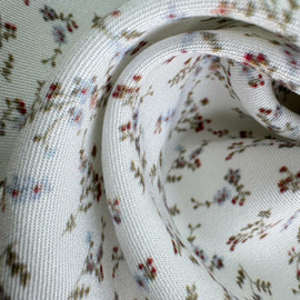 Мелкий вьюнок photo_2026-02-20_14-50-10