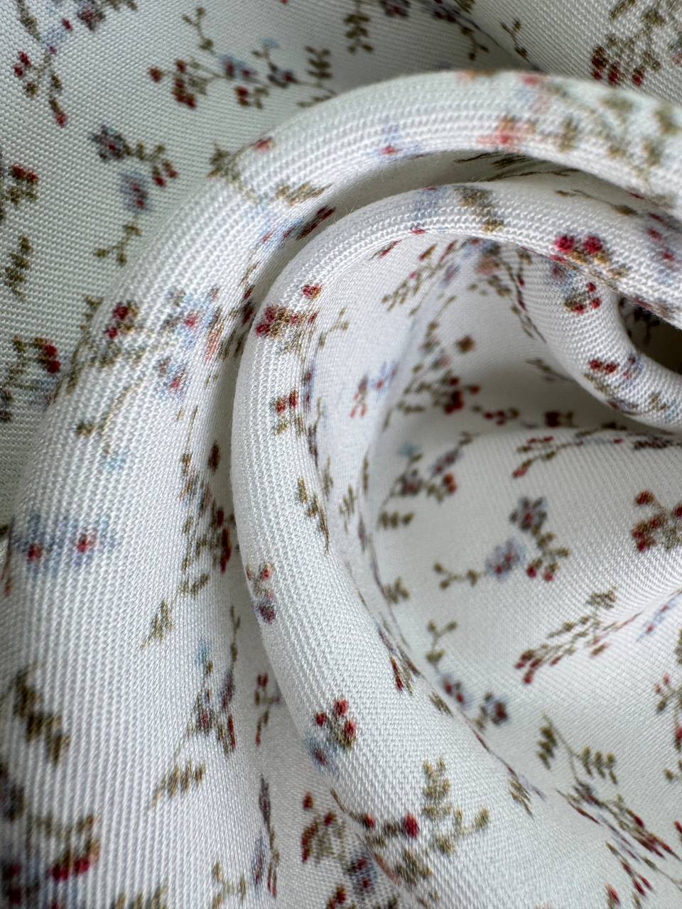 Мелкий вьюнок photo_2026-02-20_14-50-10